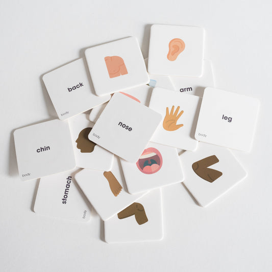 Body Pack tiles arranged loosely in a pile on white background