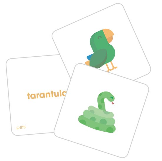 Three tiles from the Pets Tile Pack showing the word tarantula and images of a snack and a bird